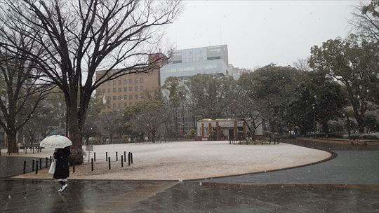 雪の横浜公園