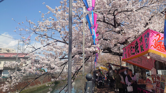 桜お花見屋台