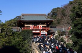 鎌倉鶴岡八幡宮初詣